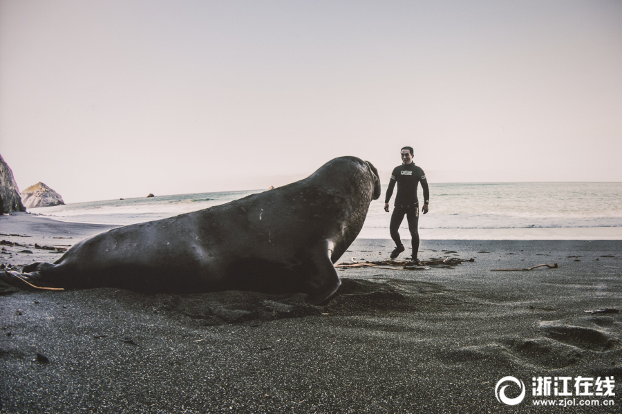 月餅為什么保質(zhì)期那么長(zhǎng)